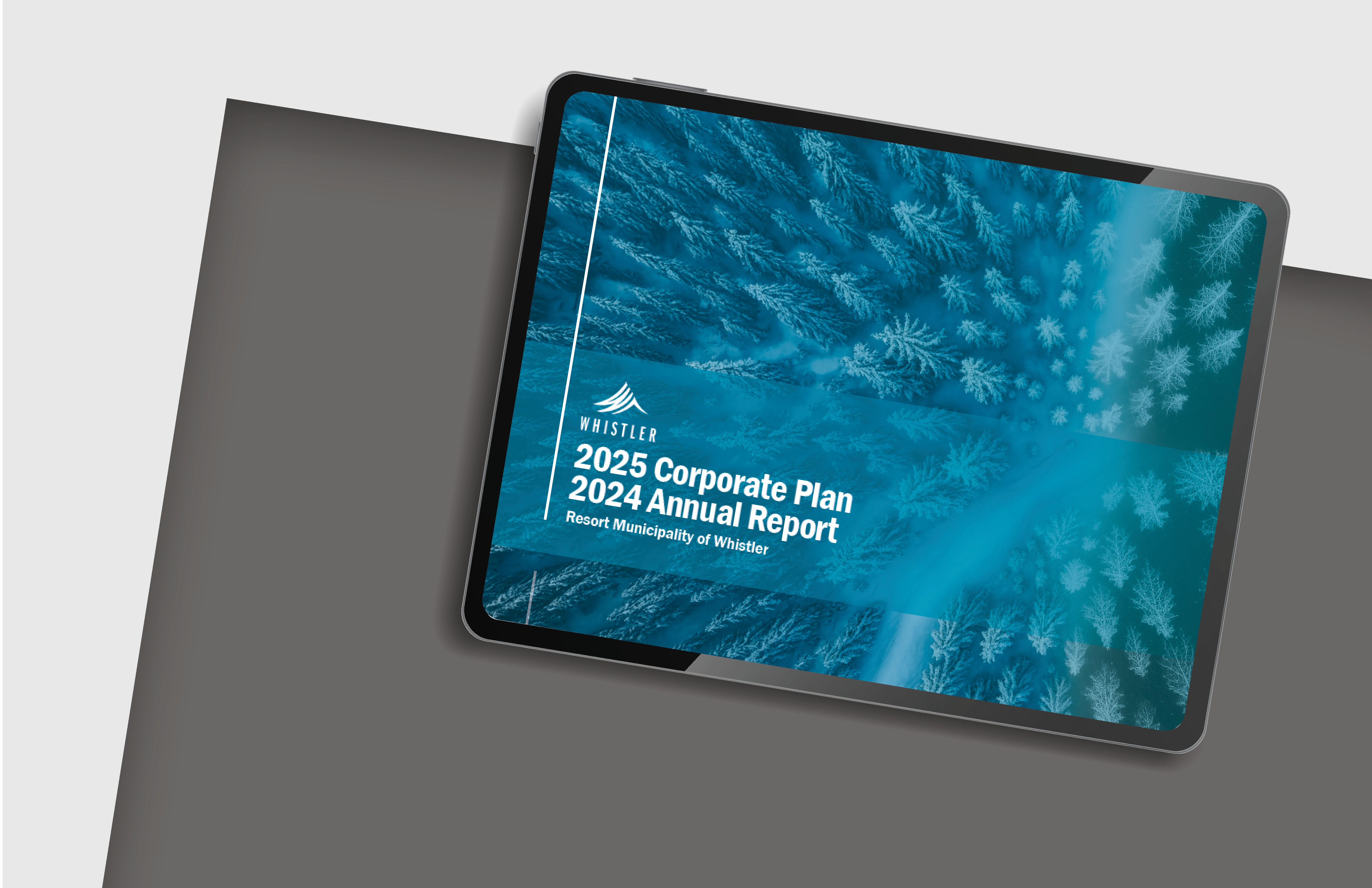 Corporate Plan